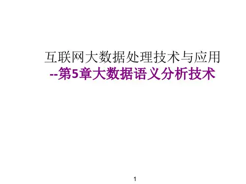 互联网大数据处理技术与应用 第5章大数据语义分析技术