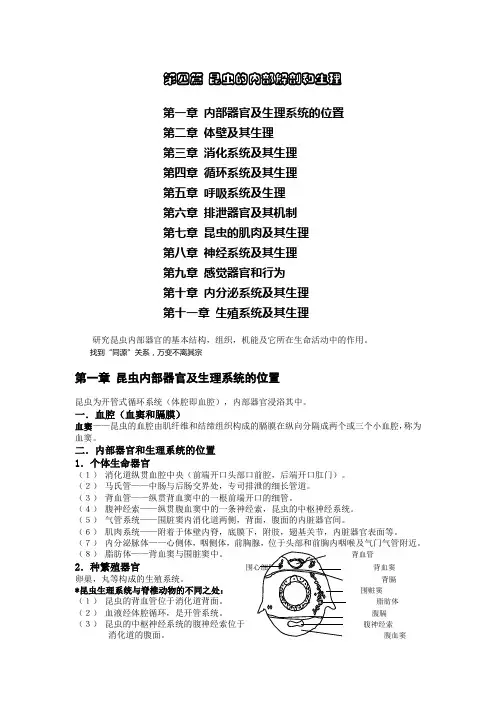 昆虫解剖实验方法