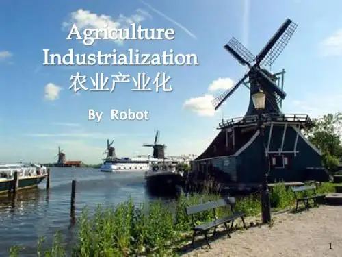农业产业化agriculture industrialization