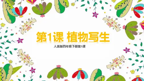  人美版 美术四年级下册第1课 植物写生(课件)