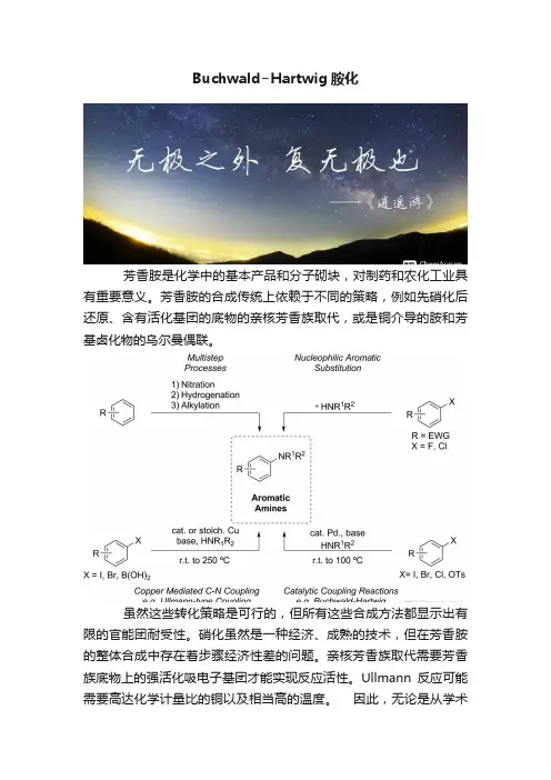 Buchwald?Hartwig胺化