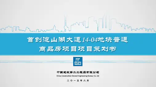 项目实施计划书汇报