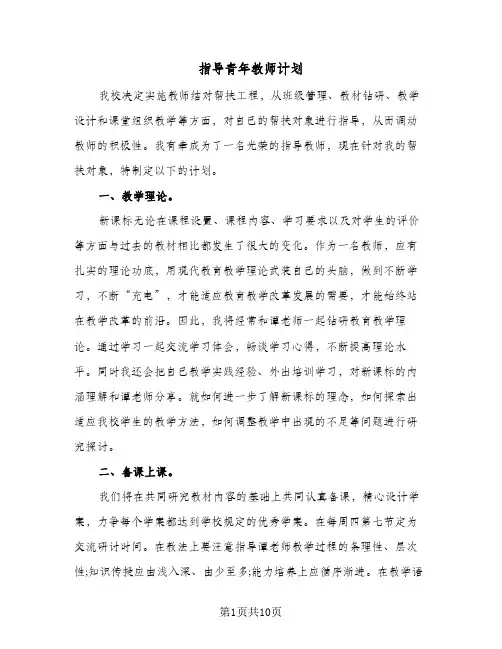 指导青年教师计划(4篇)