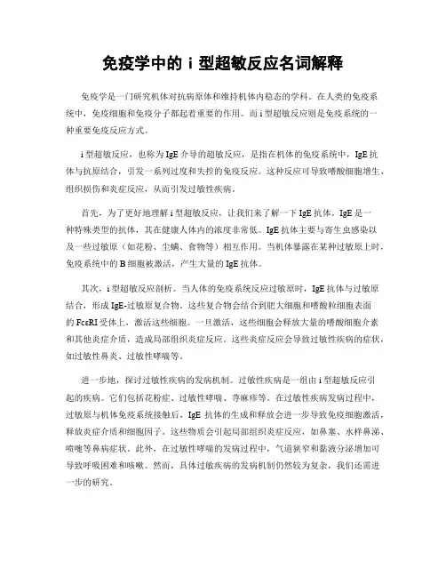 免疫学中的i型超敏反应名词解释