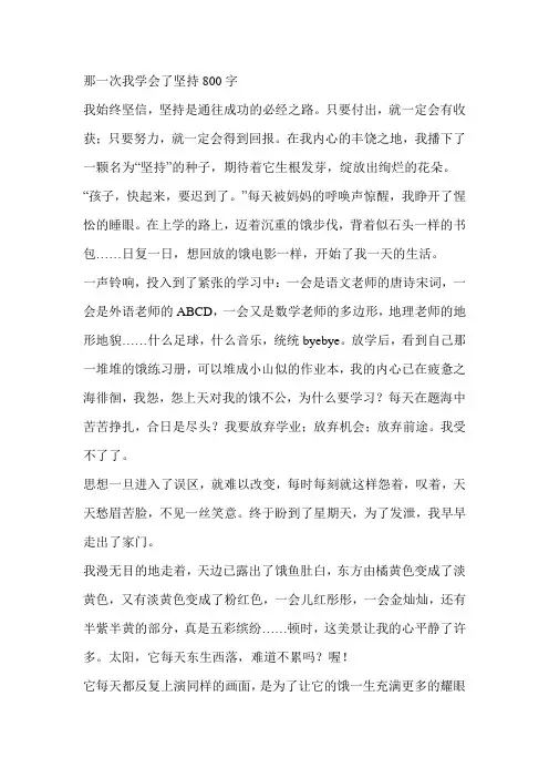 那一次我学会了坚持800字