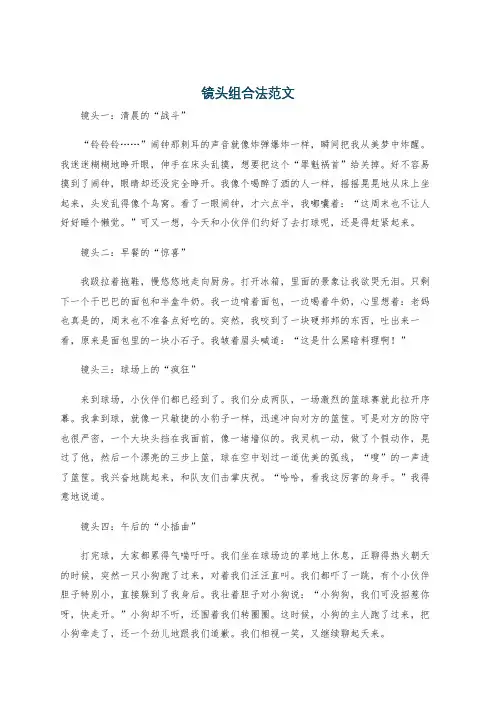镜头组合法范文