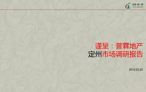 20120328定州市调报告