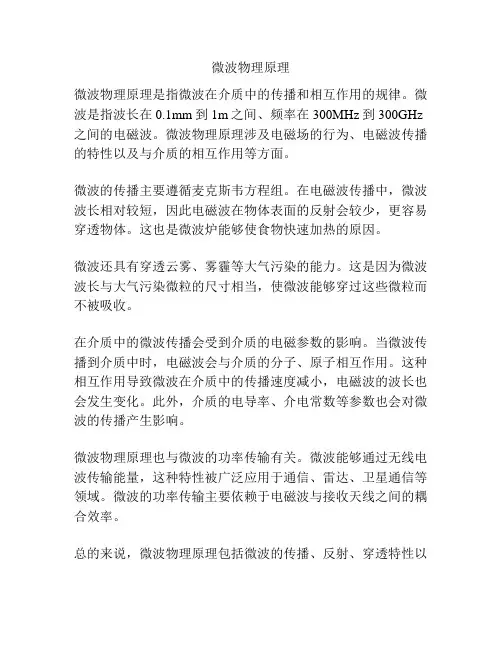 微波物理原理