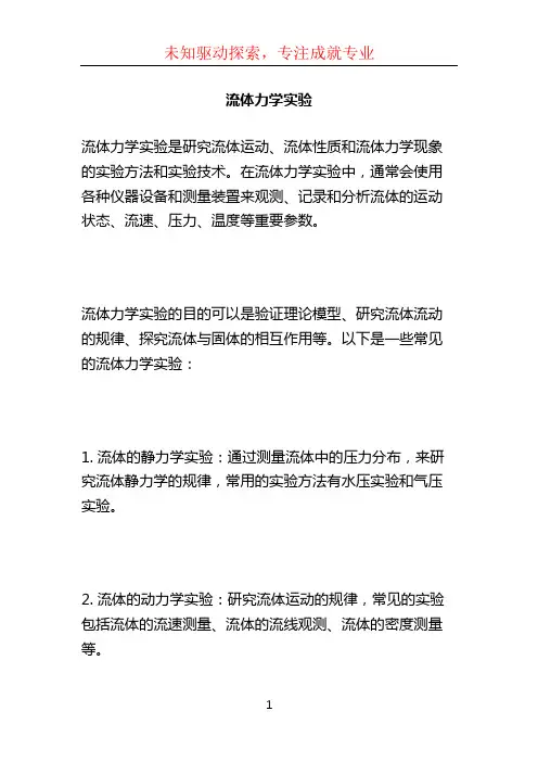 流体力学实验 (2)