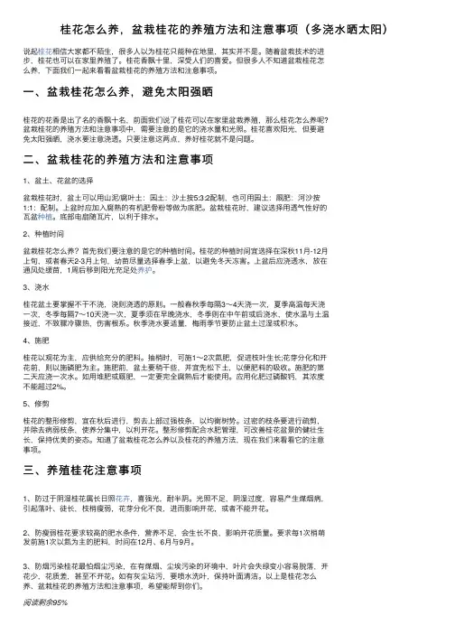 桂花怎么养，盆栽桂花的养殖方法和注意事项（多浇水晒太阳）