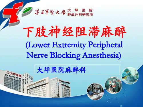 下肢神经阻滞麻醉PPT课件