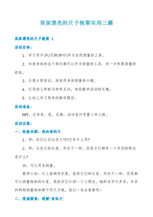 我家漂亮的尺子教案实用三篇