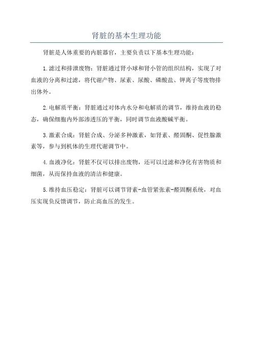 肾脏的基本生理功能
