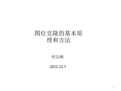图位克隆的基本原理和方法-PPT课件