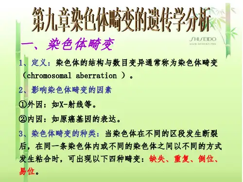 染色体畸变的遗传分析
