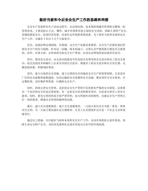 做好当前和今后安全生产工作的思路和举措