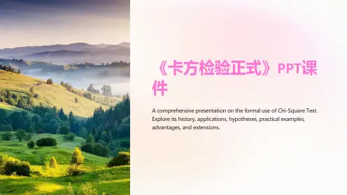 《卡方检验正式》课件