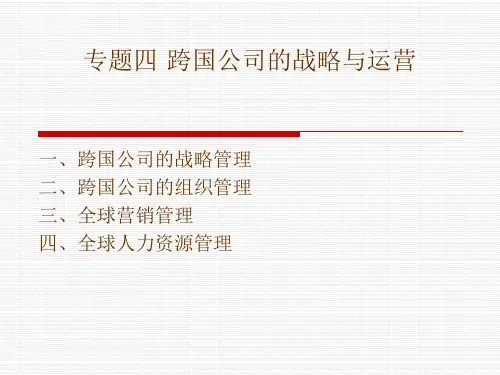 专题四 跨国公司的战略与运营