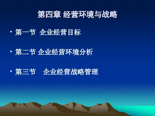 经营环境与战略-文档资料
