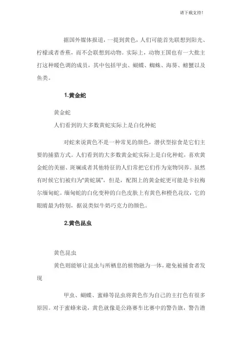 o十种奇特黄色动物