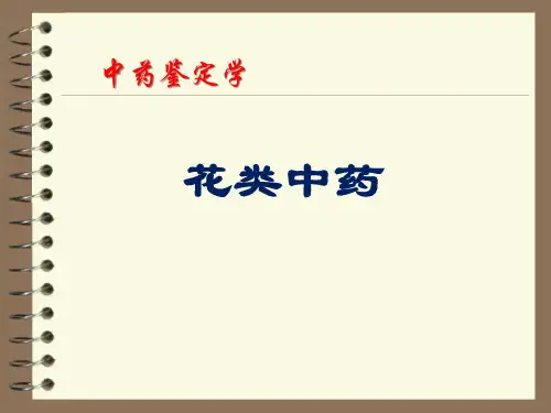 中药鉴定学：花类中药