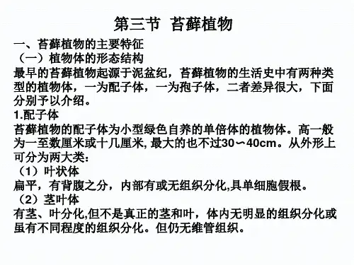 高中生物竞赛课件植物学——苔藓植物_4