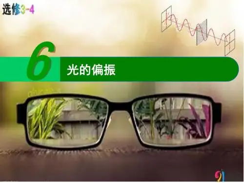 课件-高二物理-13.6 光的偏振