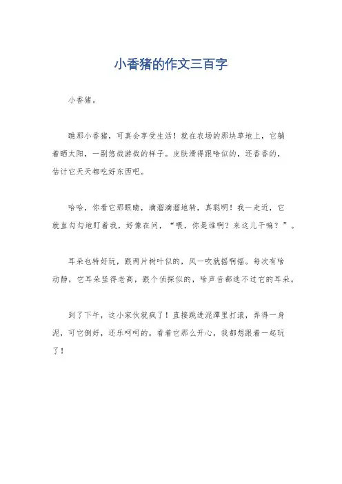 小香猪的作文三百字