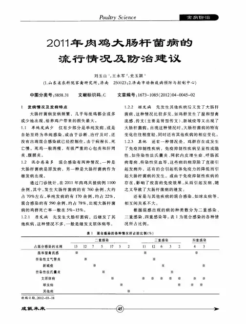 2011年肉鸡大肠杆菌病的流行情况及防治建议