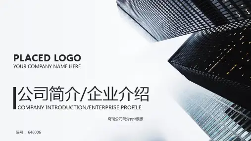 奇瑞公司简介ppt模板
