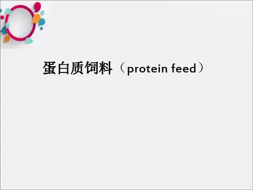 《蛋白质饲料》PPT课件