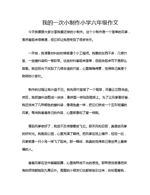 我的一次小制作小学六年级作文