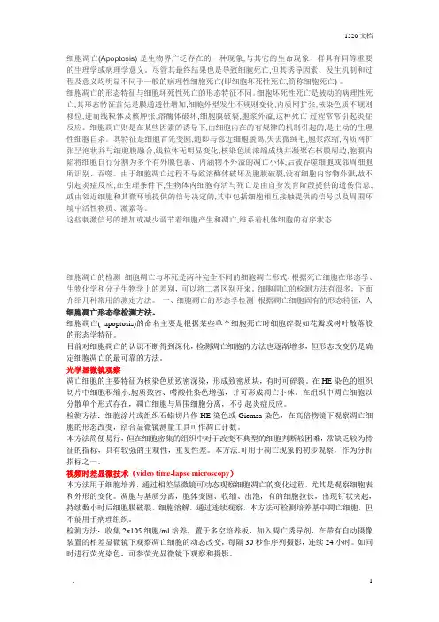 如何区分凋亡细胞与坏死细胞