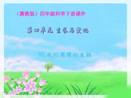 冀教版小学四年级下册科学《周围的生物PPT课件》教学