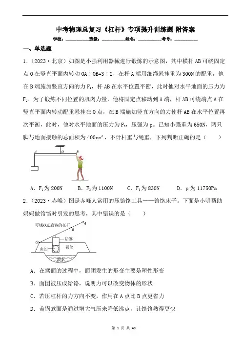 中考物理总复习《杠杆》专项提升训练题-附答案