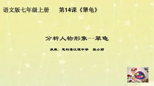 分析人物形象---犟龟ppt.