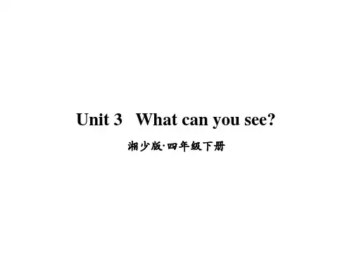 湘少版英语四年级下册Unit 3 What can you see课件
