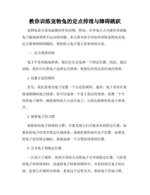 教你训练宠物兔的定点排泄与障碍跳跃