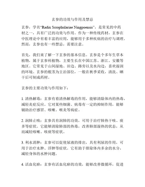 玄参的功效与作用及禁忌