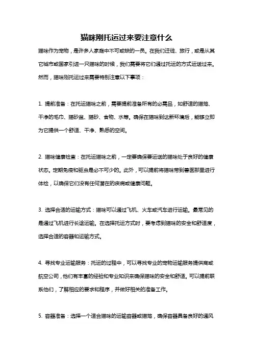 猫咪刚托运过来要注意什么