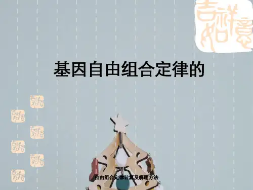 自由组合定律计算及解题方法