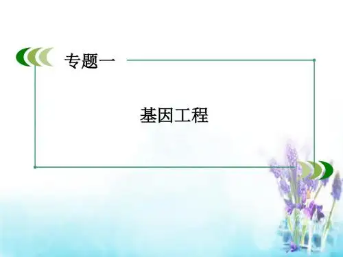 高中生物专题1第2节基因工程的基本操作程序课件新人教选修3