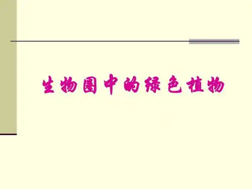 藻类、苔藓类和蕨类》说课课件全面版