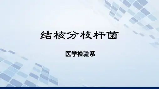 结核分枝杆菌.pptx