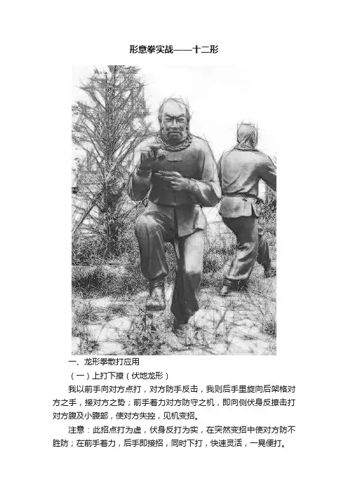 形意拳实战——十二形
