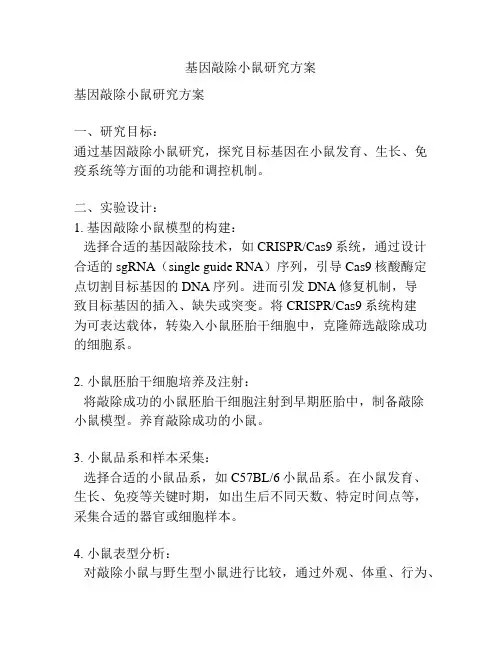 基因敲除小鼠研究方案