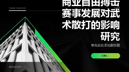 商业自由搏击赛事发展对武术散打的影响研究