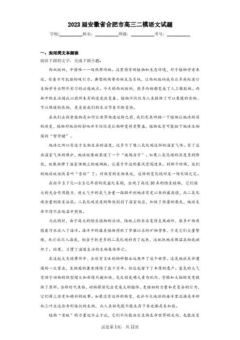 2023届安徽省合肥市高三二模语文试题(含答案解析)