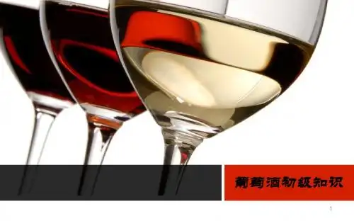 葡萄酒初级知识