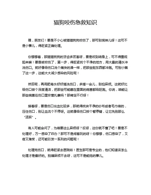 猫狗咬伤急救知识
